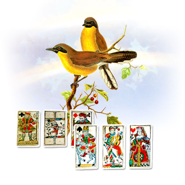 tarot-nina-tirada-central