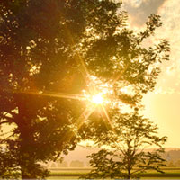 icon-curso-ayurveda