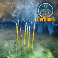 icon curso magia free c