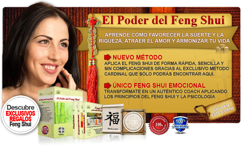 curso feng shui profesional