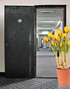 curso-feng-shui-planta