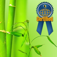 item-curso-poder-feng-shui